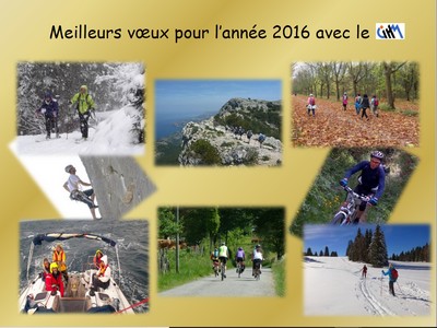 Bonne annee 2016