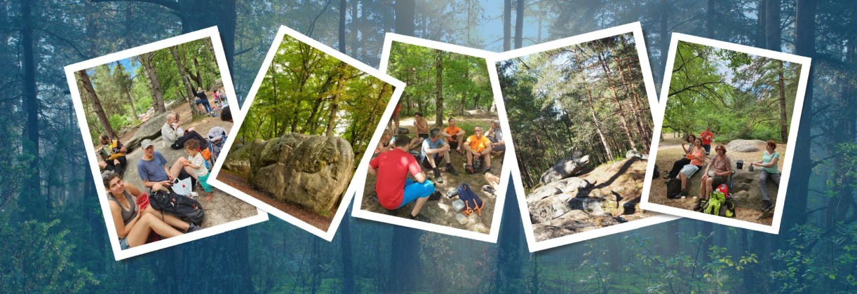 Journée d'accueil et pique-nique dimanche 23 juin Fontainebleau