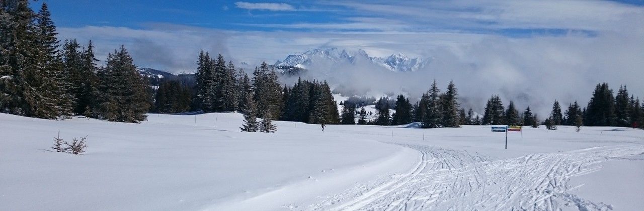 Ski de Fond