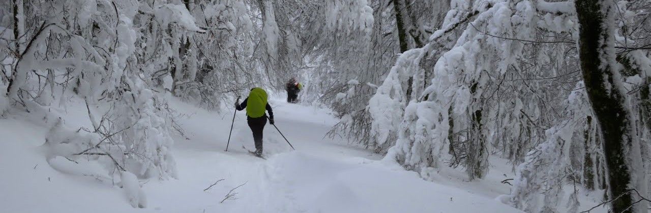 Ski de Fond