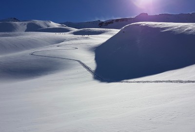 /20170305_094732_003.jpg