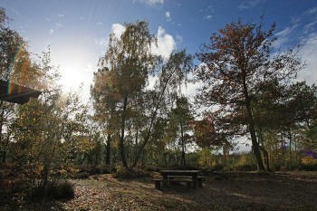 2009_la_roche_turpin_010.jpg
