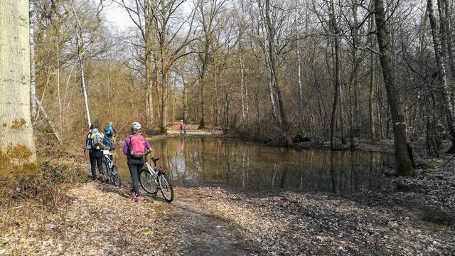 Chemin inondé