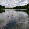 Sortie VTT du 1er mai en forêt de Coye